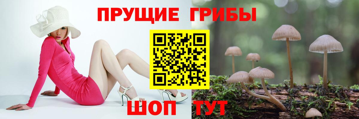 Псилоцибиновые грибы GOLDEN TEACHER  Псилоцибиновые грибы Magic Shrooms  Вход с VPN  Славгород 